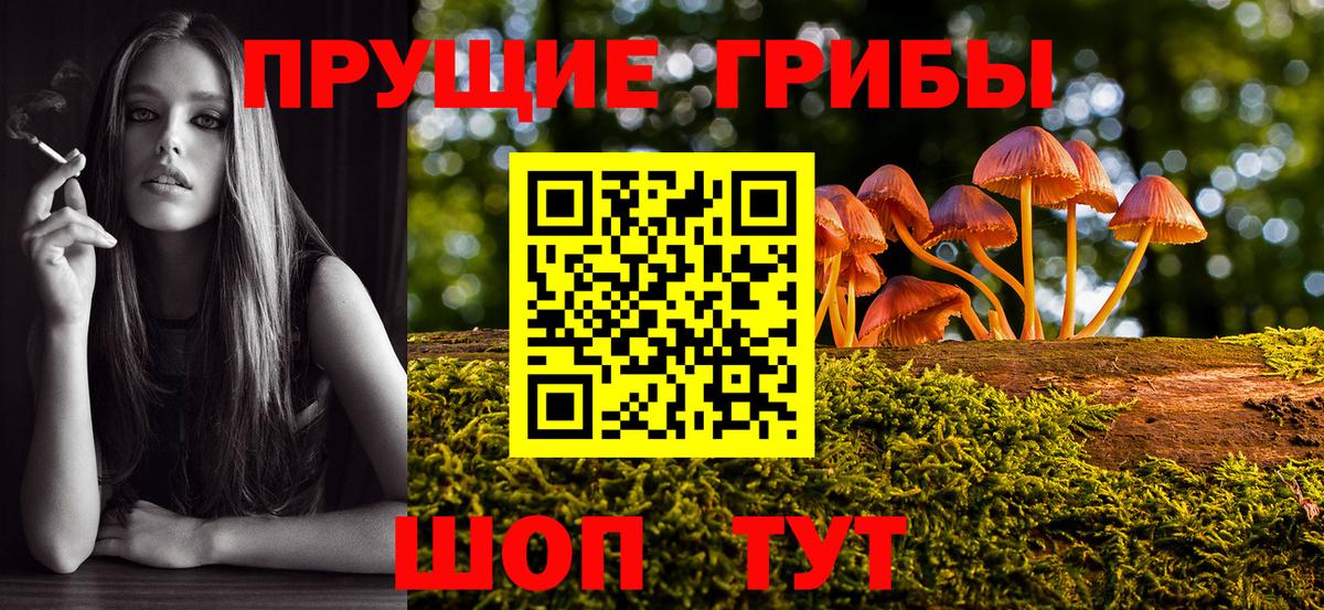 Галлюциногенные грибы MAGIC MUSHROOMS  Вход с VPN  где купить наркоту  Галлюциногенные грибы прущие грибы  Надым 