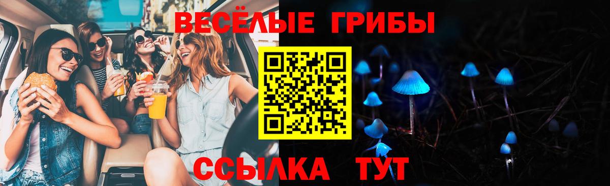 Псилоцибиновые грибы Psilocybe Надым