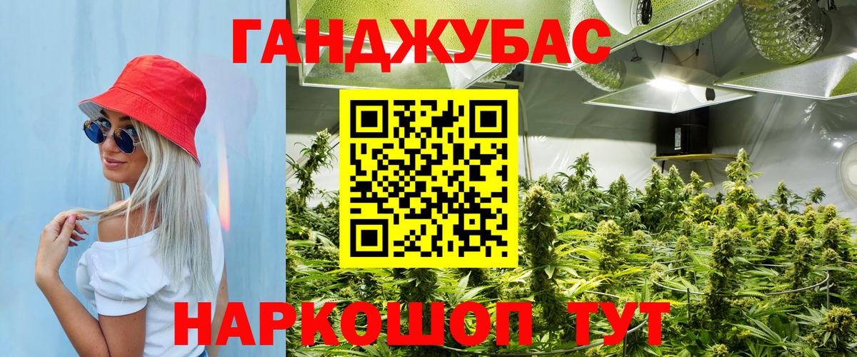Марихуана конопля  Вход с VPN  Марихуана план  Канабис тримм  Надым  Конопля сатива 